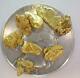 Gold Nuggets 3+ Grams Placer Alaska Natural #6 Ganes Creek High Purity