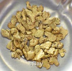GOLD NUGGETS 4+ GRAMS Placer Alaska Natural #12 Jewelers Grade Overlay