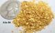 Gold Nuggets 5+ Grams Alaskan Natural Placer #16 #50 Mesh Mammoth Creek