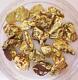 Gold Nuggets 7.631 Grams Alaskan Natural Placer #6 Ganes Creek High Pure Chunky