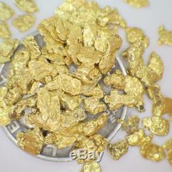 GOLD NUGGETS 7+ GRAMS Alaskan Natural Placer #8 Screen High Purity FREE SHIP