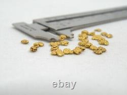 Genuine Alaska Yukon BC gold nugget bullion placer gold 2.5dwt 3.8 gram -6+8