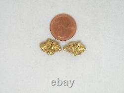 Genuine Alaska Yukon BC natural gold nugget placer 3.1dwt, 4.8gram Gold 2 pieces