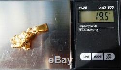 Genuine Large Natural Alaskan Gold River Nugget Pendant 19.5 grams