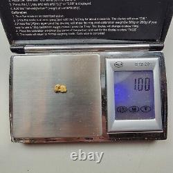 Genuine Natural Colorado Gold Nugget Placer Gold 1 Gram