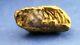 Genuine Natural Crystalline Gold Nugget With Quartz From Atlin, Bc, 1.56 Grams