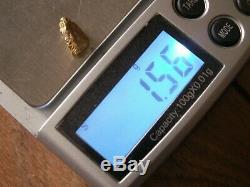 Genuine Natural Crystalline Gold Nugget with Quartz from Atlin, BC, 1.56 Grams