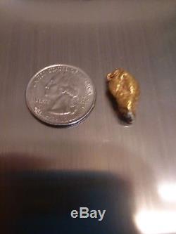 Genuine Natural Gold Nugget 7.4 Grams, From Felix Paydirt, Boise Gold Show