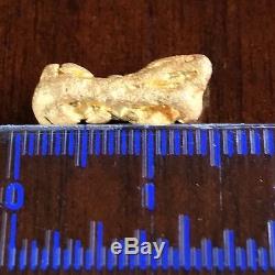 Genuine, natural Australian Gold Nugget 1.98 grams