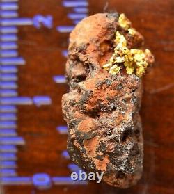 Genuine, natural, Australian crystalline gold hematite nugget specimen 5.02 gram