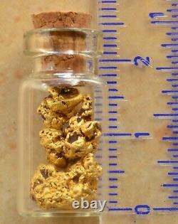Genuine, natural Western Australian Gold Nuggets 5 grams in vial