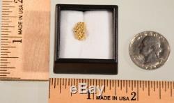 Gold Ingot 1.63 Gram Nugget Little Squaw Creek Alaskan Natural Free Case 22k