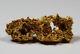 Gold Nugget 4.98 Grams (australian Natural)