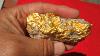 Gold Nugget From Arizona 442 Grams