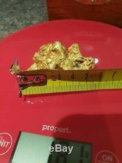 Gold Nugget Perth Mint Natural Gold Nugget 181g! Rare