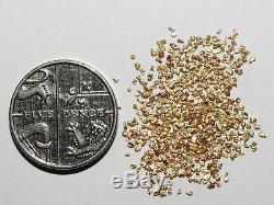 Gold Nuggets 1 Gram ALASKAN Raw Natural Gold Nuggets FREE FAST DELIVERY