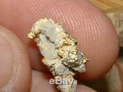 Gold Quartz Specimen Natural Gold Nugget 2.46 Grams Gold In Quartz