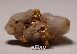 Gold Specimen Nugget 9.09 Grams (australian Natural)