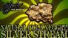 Gold Stream 104 Natural Gold Nugget Silver Coins And Bitcoin