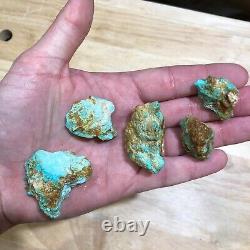 Hard Natural Castle Dome Turquoise Golden Blue Nuggets (From Bell)