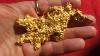 Huge 6 8 Oz Crystalline Gold Nugget Shaped Like A Dragon