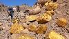 Huge Gold Nuggets In The Quarry How Is This Possible