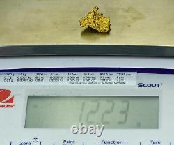 Irwin #1115 Natural Gold Nugget Australian 12.23 Grams Genuine