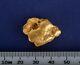 Large 17.95 Gram Natural Gold Nuggeg From Leonora, Wa