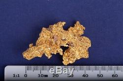 Large 62.38 Gram Natural Gold Nugget From Australia