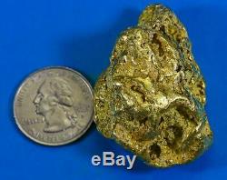 Large Alaskan BC Natural Gold Nugget 101.35 Grams Genuine 3.25 Troy Ounces