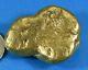 Large Alaskan Bc Natural Gold Nugget 142.40 Grams Genuine 4.578 Troy Ounces