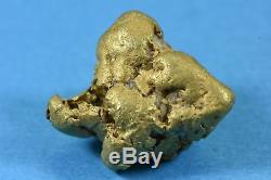Large Alaskan BC Natural Gold Nugget 30.19 Grams Genuine