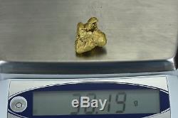 Large Alaskan BC Natural Gold Nugget 30.19 Grams Genuine