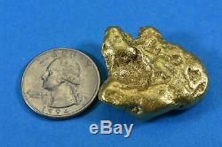 Large Alaskan BC Natural Gold Nugget 50.19 Grams Genuine 1.61 Troy Ounces