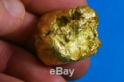 Large Alaskan BC Natural Gold Nugget 52.80 Grams Genuine 1.69 Troy Ounces