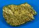 Large Alaskan Bc Natural Gold Nugget 53.42 Grams Genuine 1.71 Troy Ounces