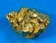 Large Alaskan Bc Natural Gold Nugget 54.39 Grams Genuine 1.74 Troy Ounces
