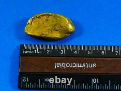Large Alaskan BC Natural Gold Nugget 55.73 Grams Genuine 1.79 Troy Ounces C