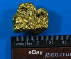 Large Alaskan BC Natural Gold Nugget 56.35 Grams Genuine 1.81 Troy Ounces