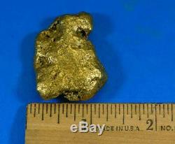Large Alaskan BC Natural Gold Nugget 57.82 Grams Genuine 1.85 Troy Ounces