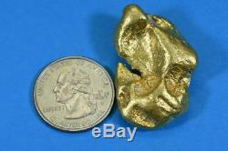 Large Alaskan BC Natural Gold Nugget 59.10 Grams Genuine 1.90 Troy Ounces