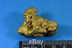Large Alaskan BC Natural Gold Nugget 61.55 Grams Genuine 1.97 Troy Ounces