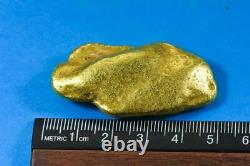 Large Alaskan BC Natural Gold Nugget 62.44 Grams Genuine 2.01 Troy Ounces-B