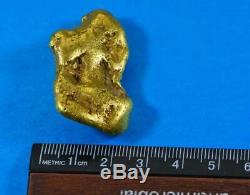 Large Alaskan BC Natural Gold Nugget 62.59 Grams Genuine 2.01 Troy Ounces