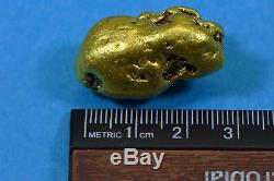 Large Alaskan BC Natural Gold Nugget 62.77 Grams Genuine 2.01 Troy Ounces The N