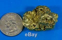 Large Alaskan BC Natural Gold Nugget 63.44 Grams Genuine 2.03 Troy Ounces