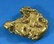 Large Alaskan Bc Natural Gold Nugget 67.61 Grams Genuine 2.17 Troy Ounces