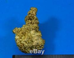 Large Alaskan BC Natural Gold Nugget 77.81 Grams Genuine 2.50 Troy Ounces