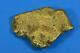 Large Alaskan Bc Natural Gold Nugget 92.05 Grams Genuine 2.95 Troy Ounces