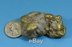 Large Alaskan BC Natural Gold Quartz Nugget 157.91 Grams Genuine 5.07 Troy Ounce